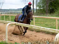 BP140425-39 - Squire Danagher (red hat)